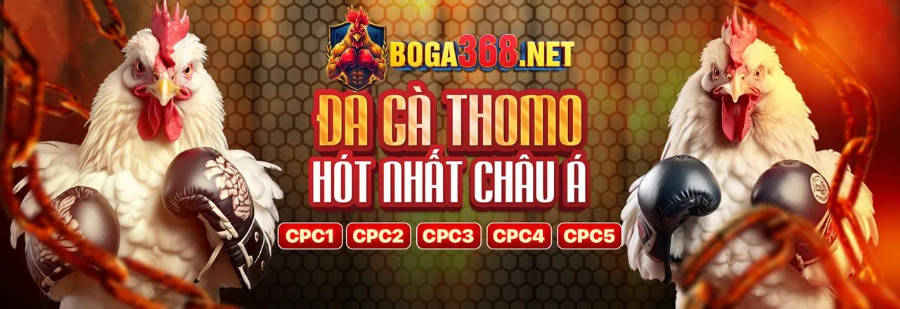 Đăng nhập 79king 2 - Nền tảng giải trí trực tuyến hàng đầu Việt Nam